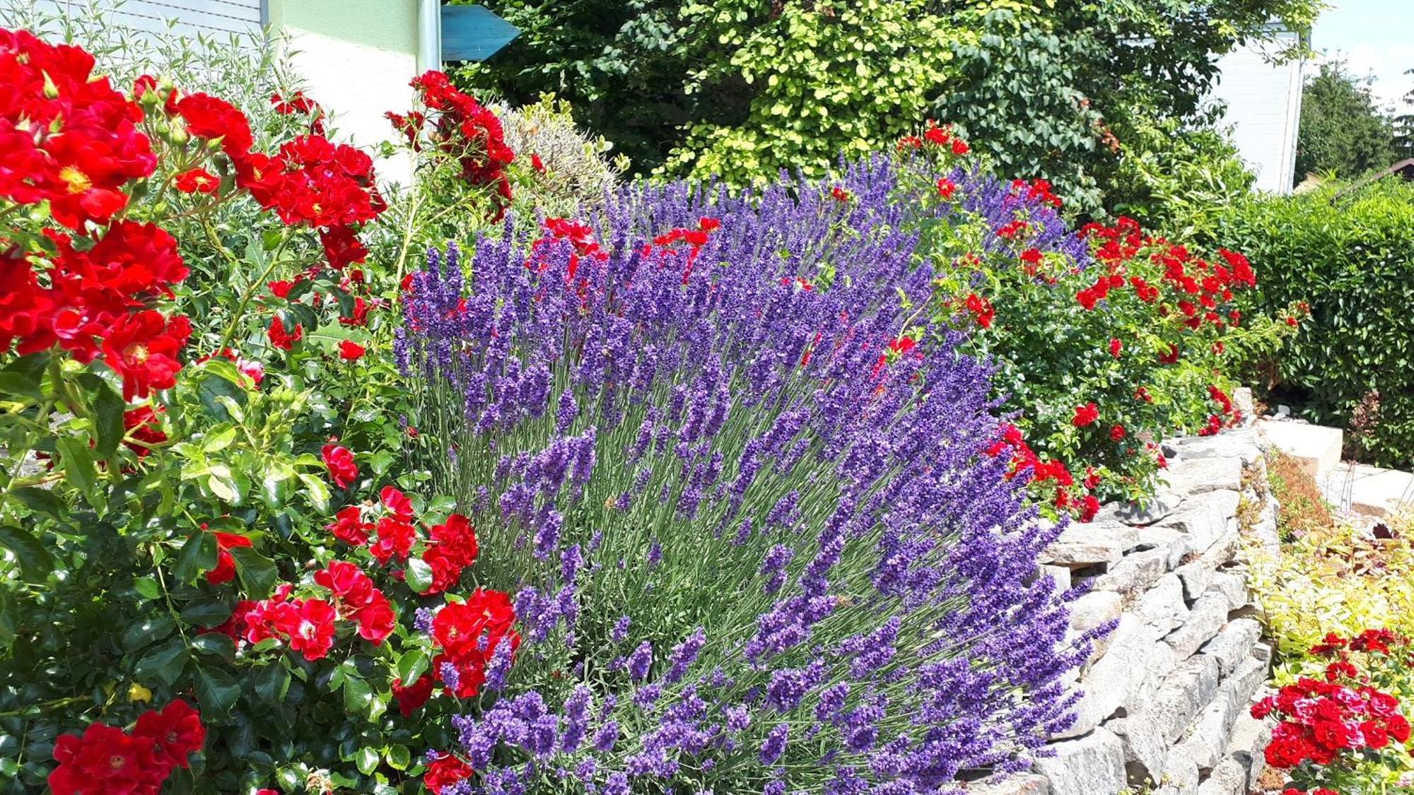 Pension Am Weinberg Bed & Breakfast Mainstockheim Exterior foto